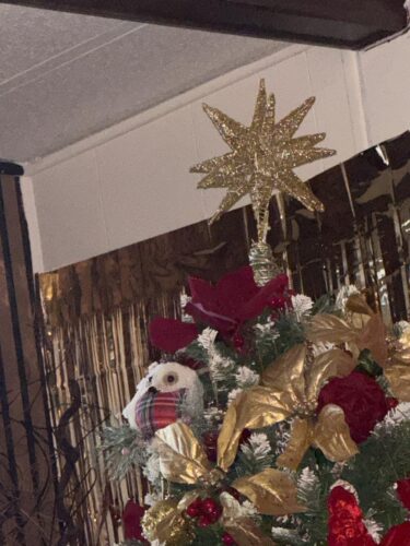 3D Silver Glitter Star Tree Topper with 56 LED Lights photo review