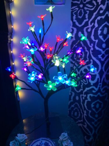 2 Pack Cherry Blossom LED Tree Lamps photo review