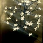 2 Pack Cherry Blossom LED Tree Lamps photo review