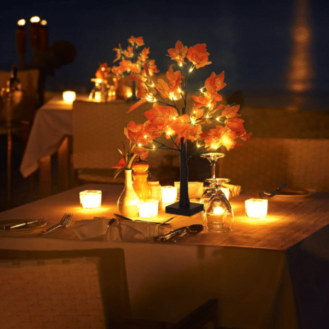 Red and White (11) Red and White (11)