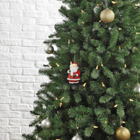 Red and White - 2025-10-16T022019.754 Red and White - 2025-10-16T022019.754