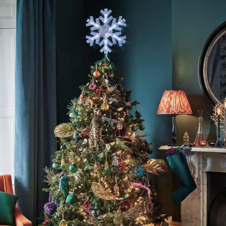 Red and White - 2025-10-16T053548.429 Red and White - 2025-10-16T053548.429