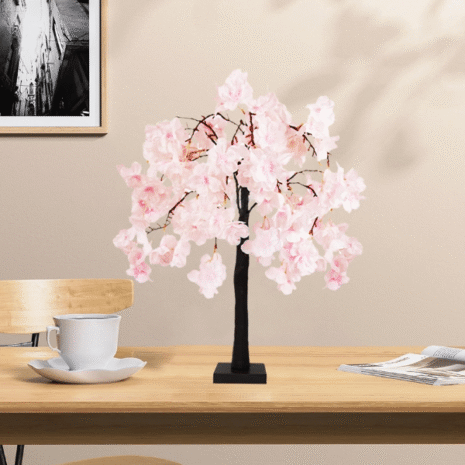 Red and White - 2025-10-19T235228.351 Red and White - 2025-10-19T235228.351