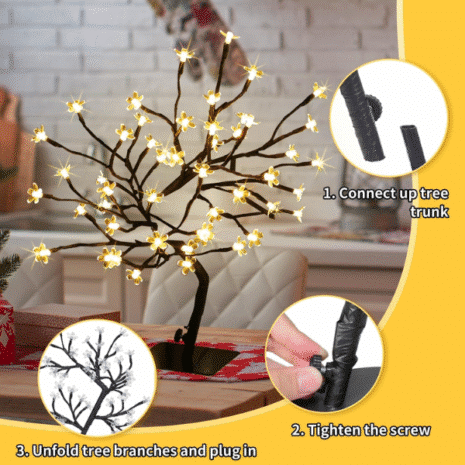 Red and White - 2025-10-20T023228.769 Red and White - 2025-10-20T023228.769