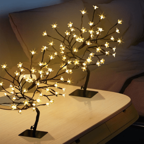 Red and White - 2025-10-20T023303.282 Red and White - 2025-10-20T023303.282