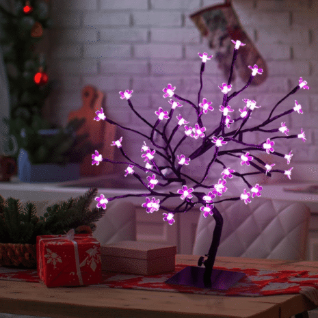 Red and White (24) Red and White (24)