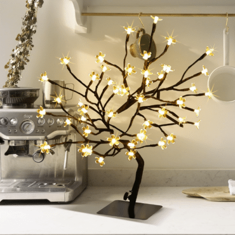 Red and White (32) Red and White (32)